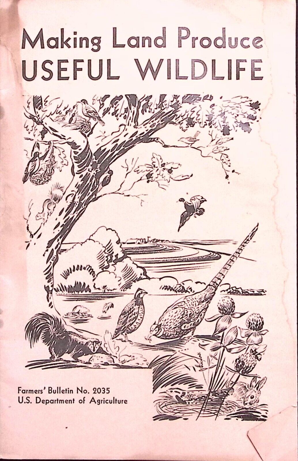 1969 US DEPARTMENT OF AGRICULTURE MAKING LAND PRODUCE USEFUL WILDLIFE BOOKLET Z9