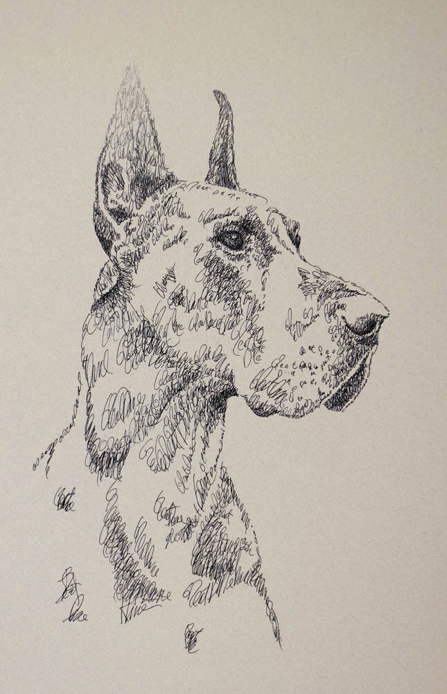 Great Dane Cropped Dog Art Portrait Print #33 Kline adds your dogs name free.