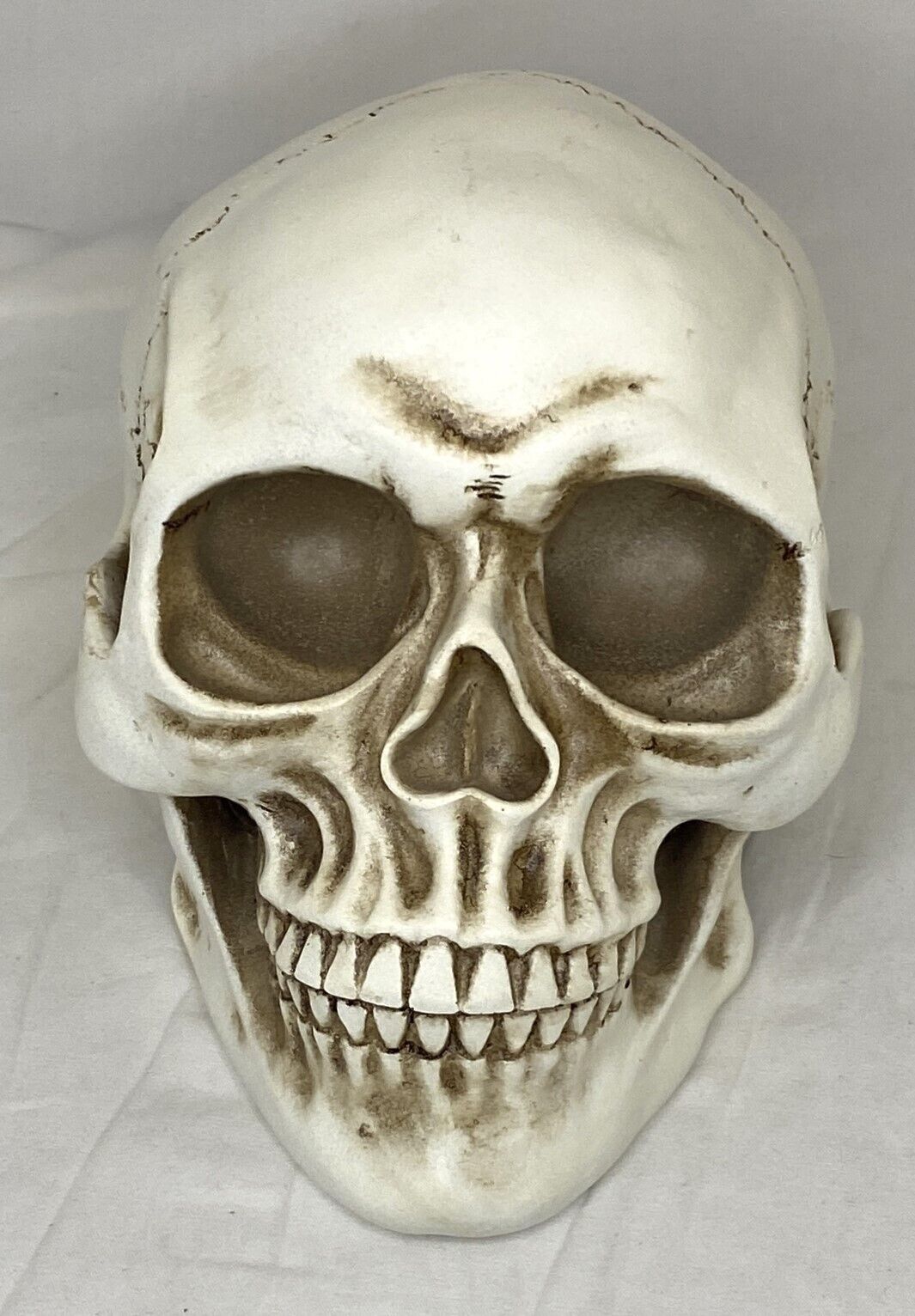 READAEER 1:1 Human Size Skull Model Realistic