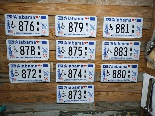 Alabama Lot of 10 Expired 2019 National Guard License plates 876 N/G