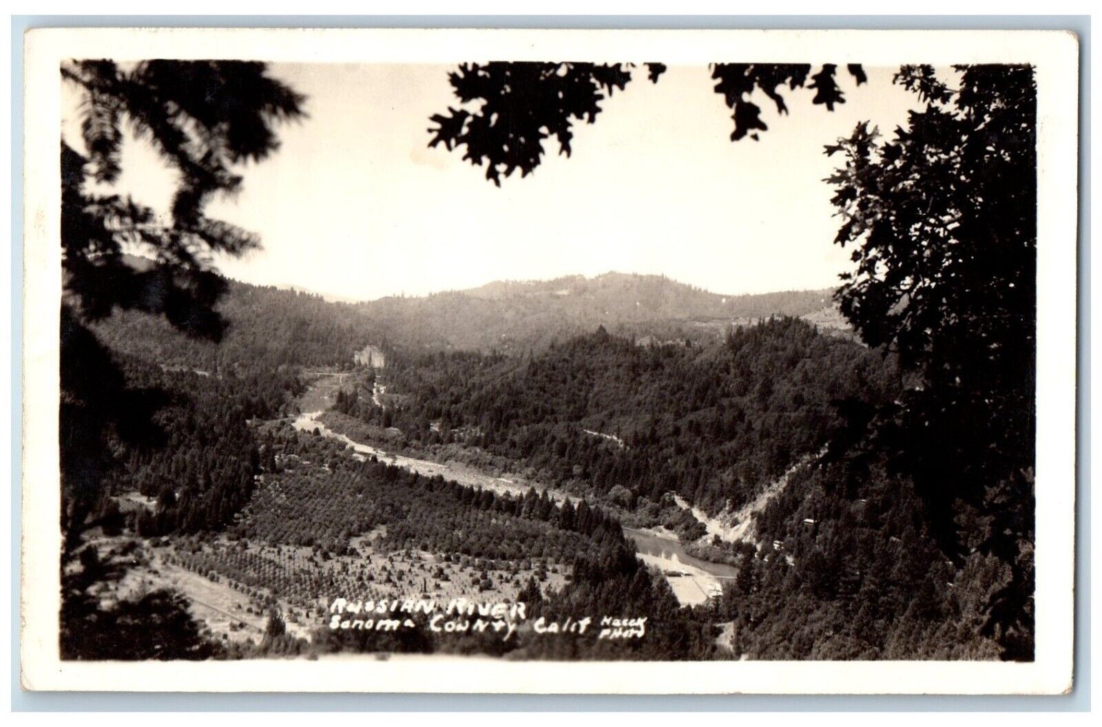 Sanoma County California CA Postcard RPPC Photo Russian River View c1940's