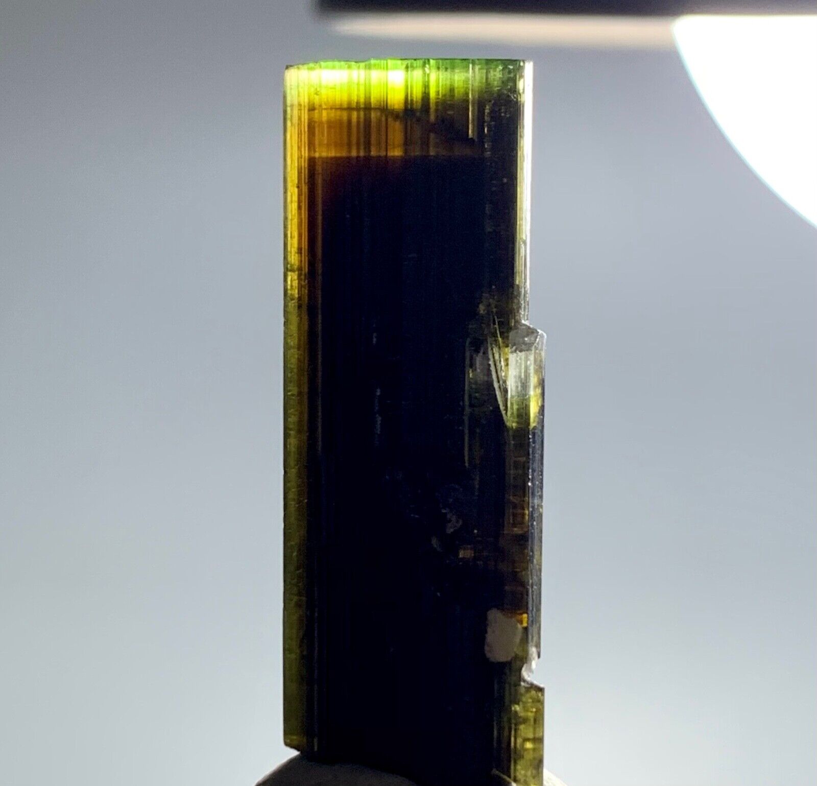 64 Cts Green Cap Tourmaline Crystal from Pakistan.z