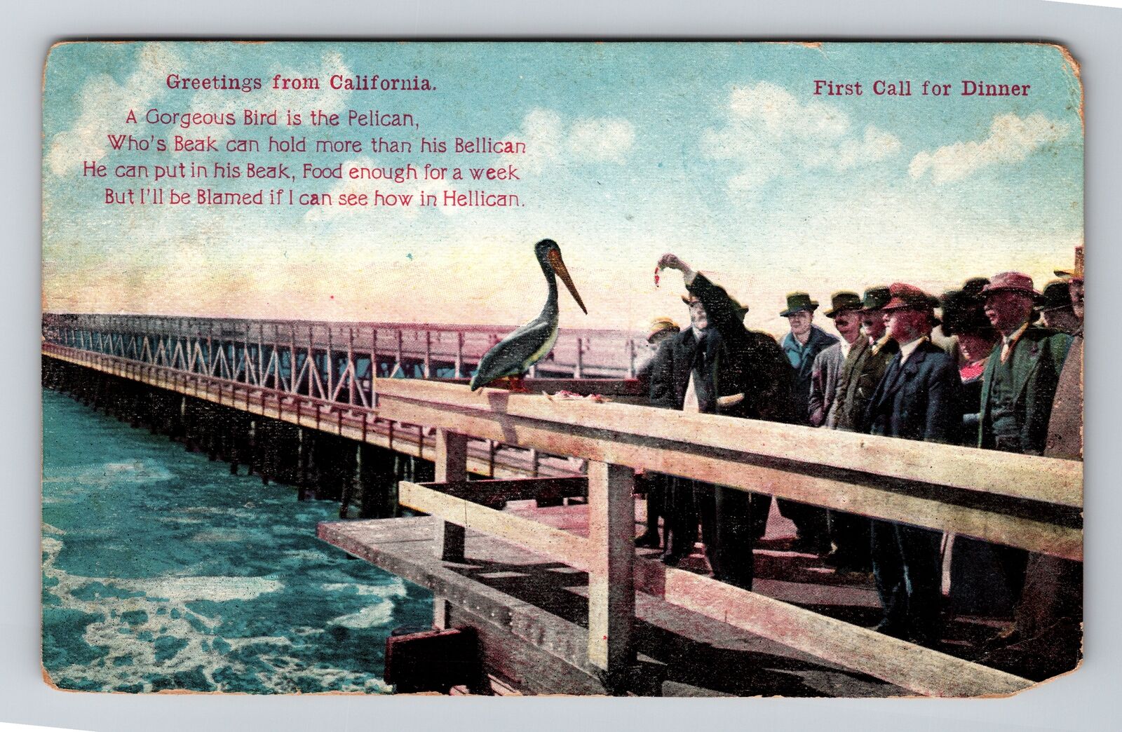 CA-California, Greetings, Man Feeding Bellican, Vintage Postcard