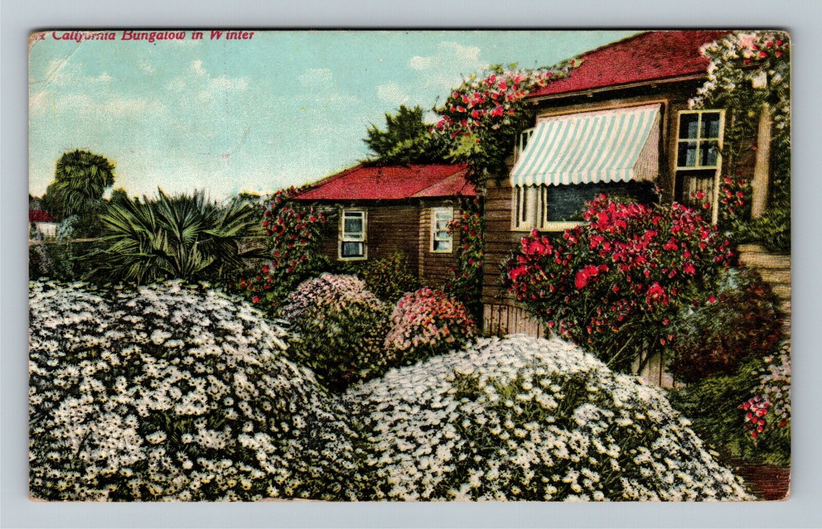 CA-California, California Bungalow In Winter, Scenic Greeting, Vintage Postcard