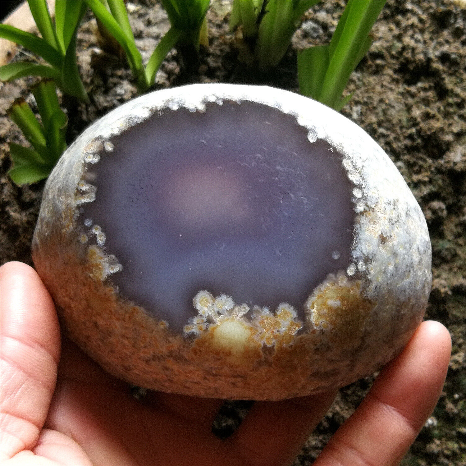 560g Natural Clear Big Moving Water Bubble Enhydro Agate Crystal Specimen Cut