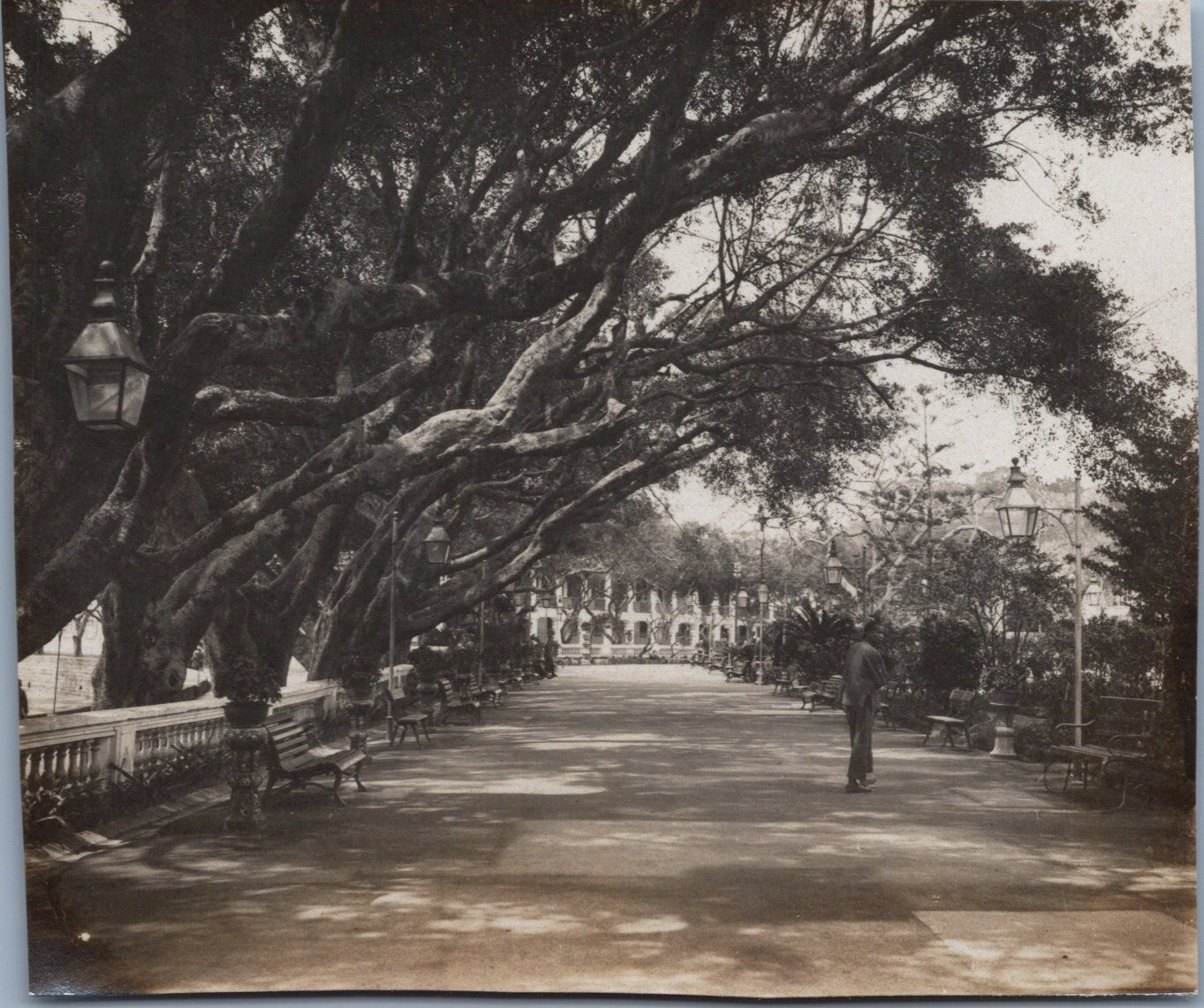 Macau, Public Garden, Vintage Print, ca.1900 Vintage Print Era Print