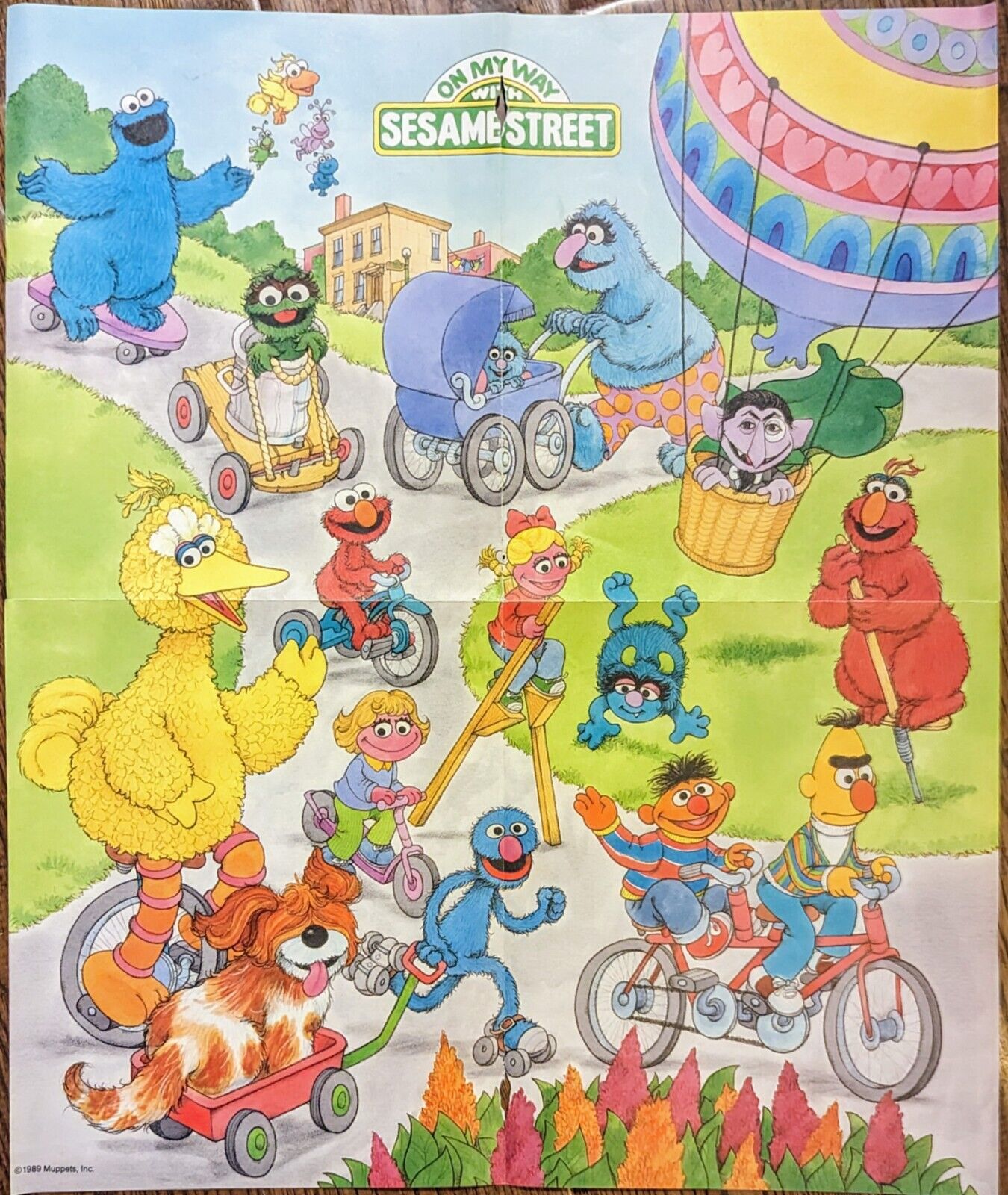 Sesame Street 19 x 16\