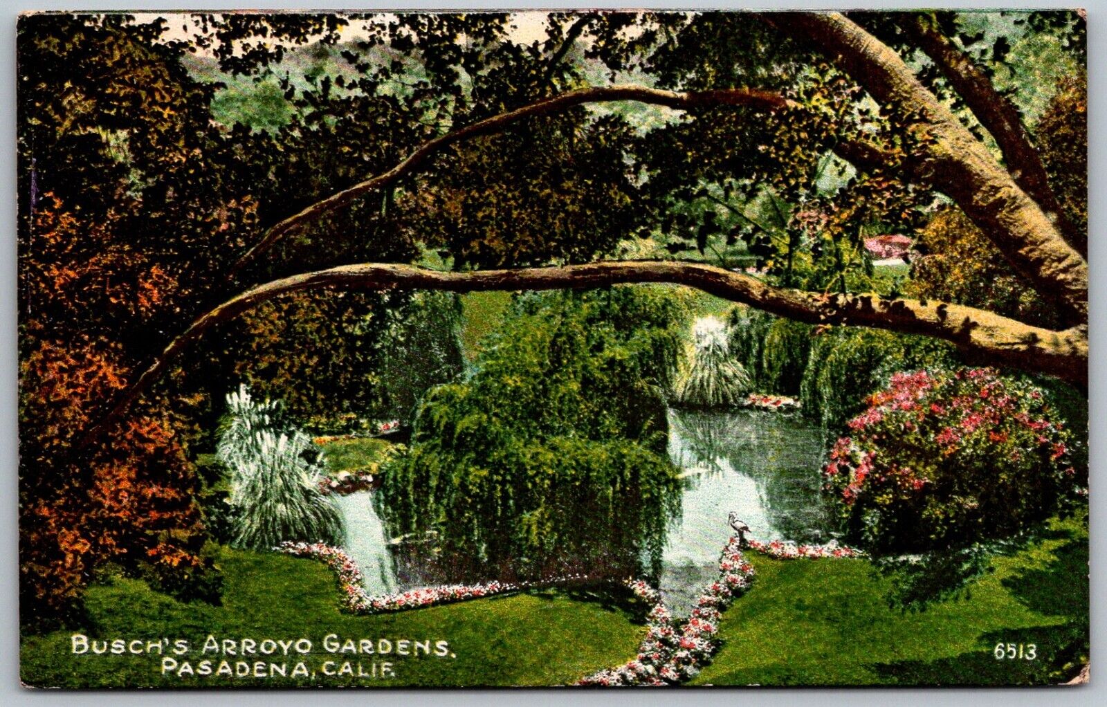 Pasadena California c1910 Postcard Busch's Arroyo Gardens