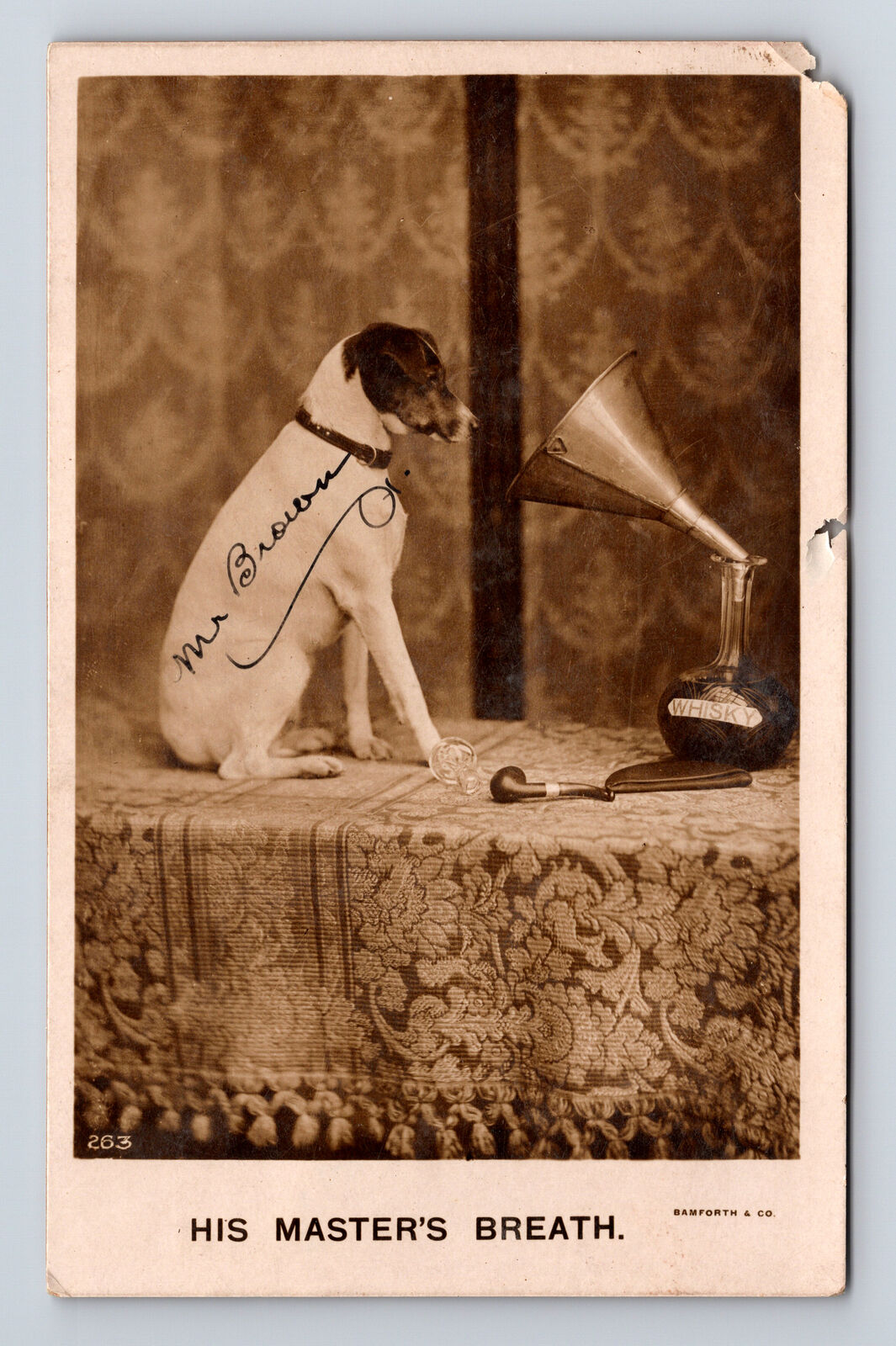 c1910 RPPC His Master's Breath Spoof on RCA Dog Mr Brown Postcard