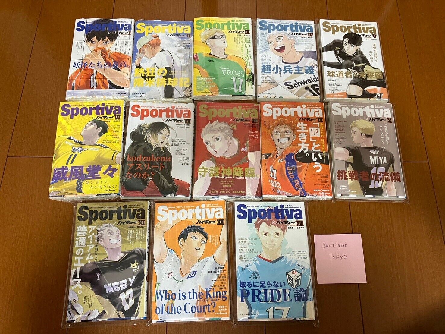 Haikyuu Novel Limited sportiva version complete set 13 &13 Book Covers Included