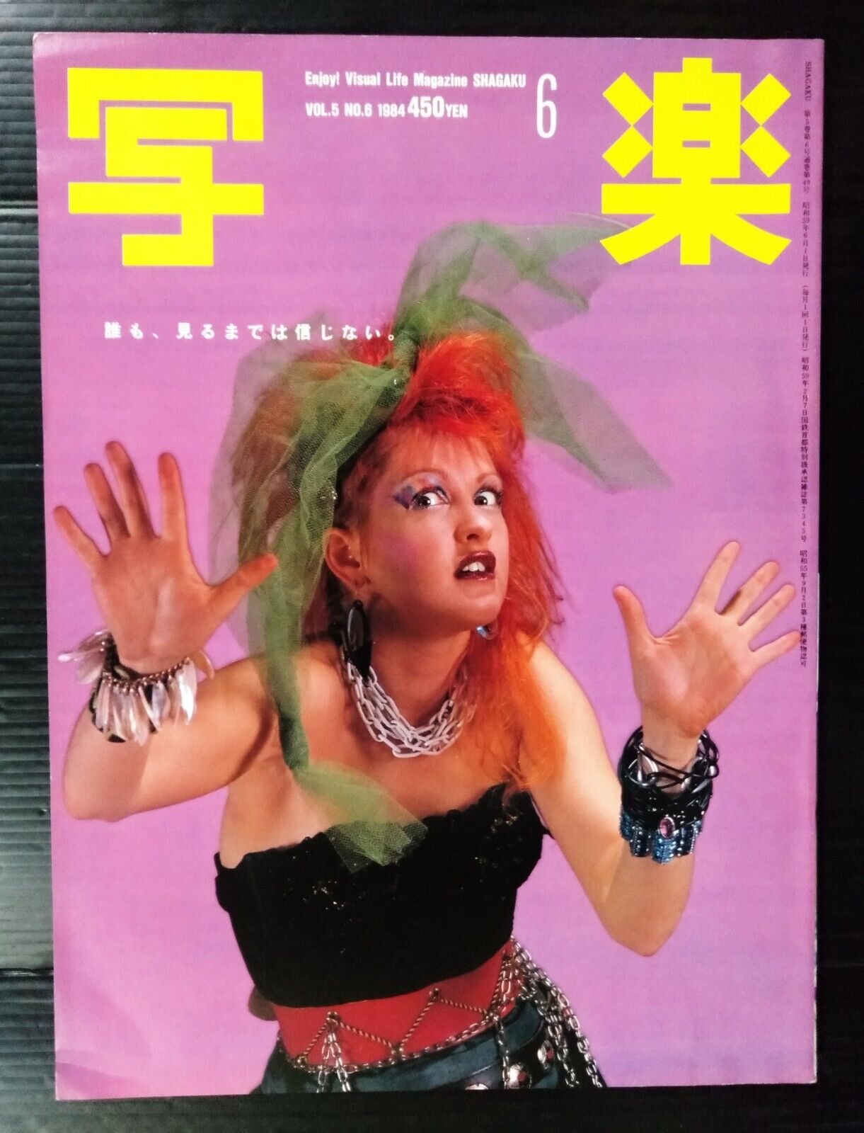 1984 Vintage Cyndi Lauper in JAPAN ENJOY VISUAL LIFE Magazine Book MEGA RARE
