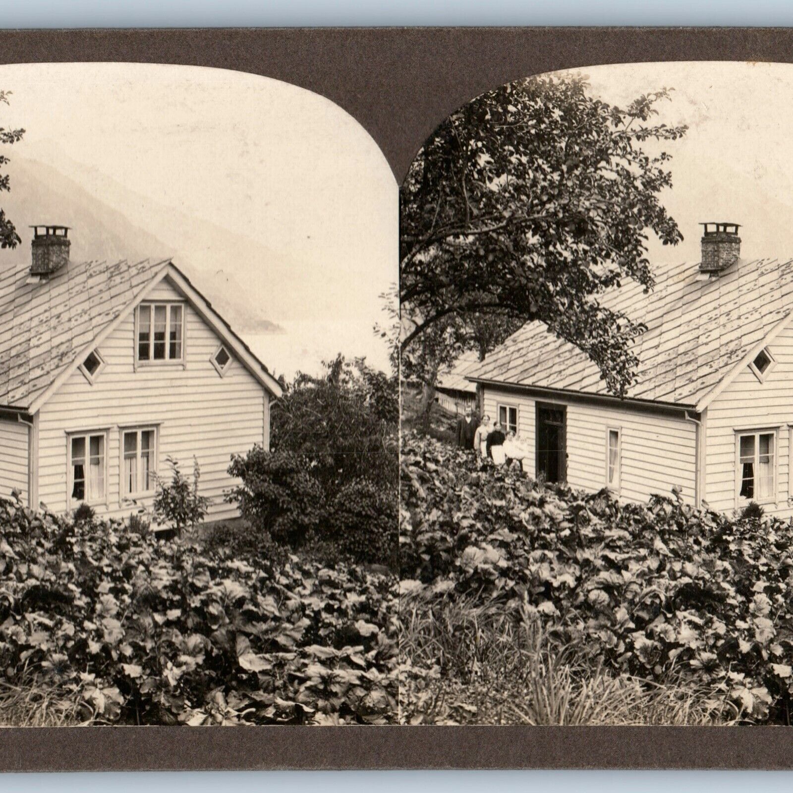 c1900s Norway Small Mountain House Cute Family Sharp Real Photo Stereo Card V19