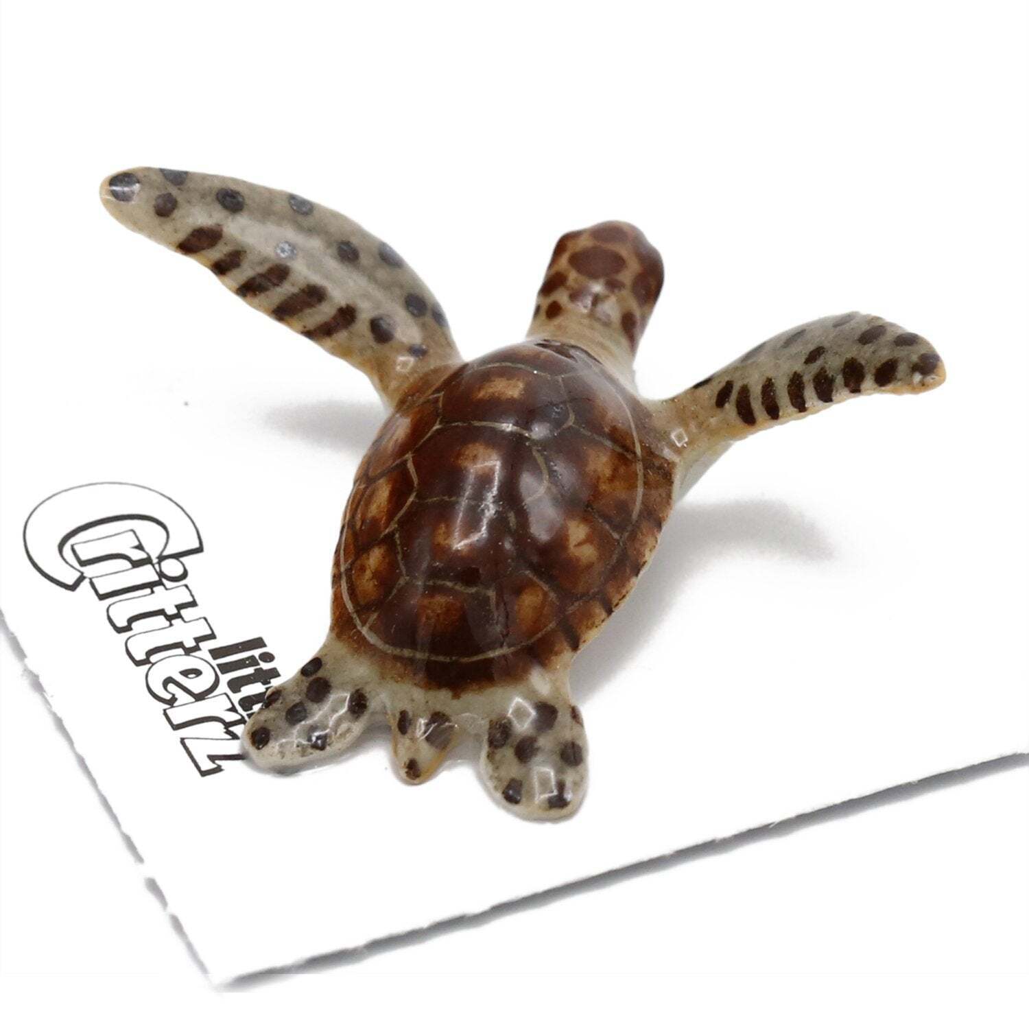 Little Critterz Brown - Sea Turtle \