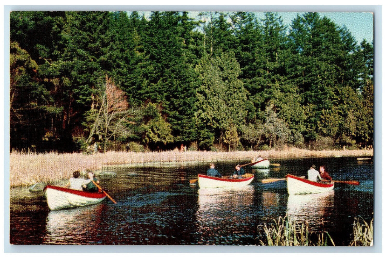 c1960\'s Boating on Lost Lagoon Stanley Park Vancouver BC Canada Postcard