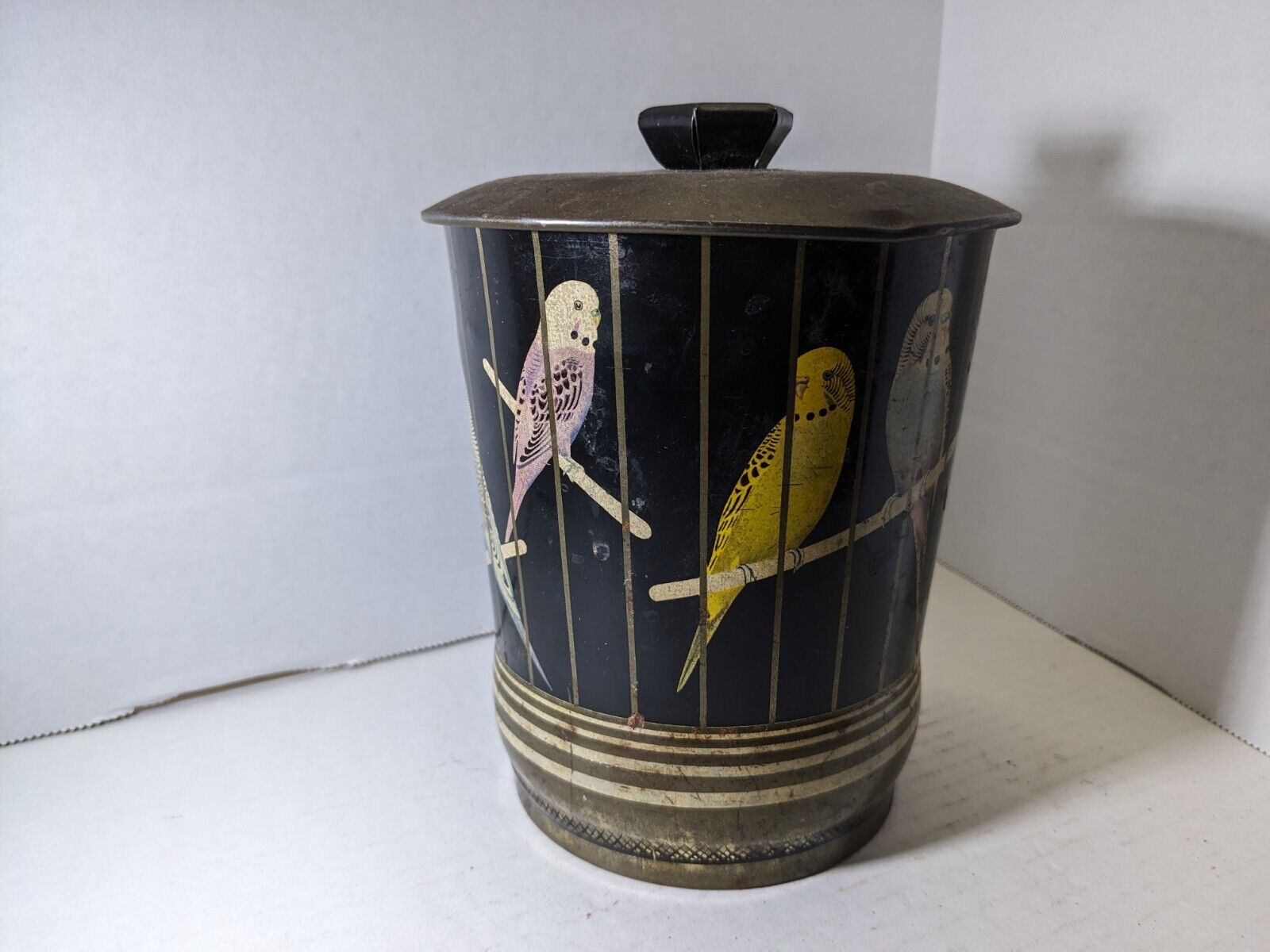 1920s Parakeet/Budgies Ornate Tin Litho English Seed Lidded Container 6 inch