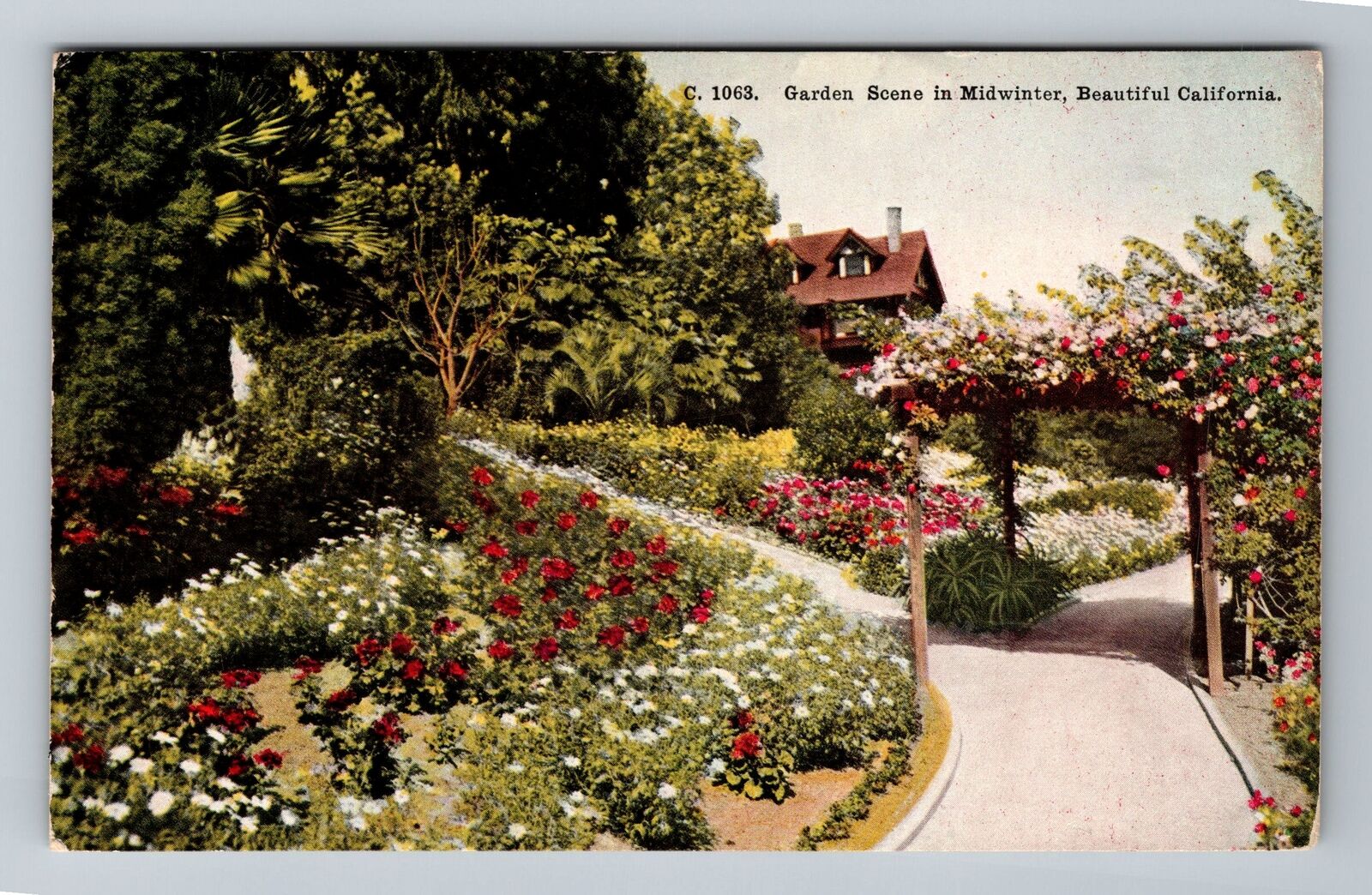 CA-California, Garden Scene in Midwinter, Vintage Postcard