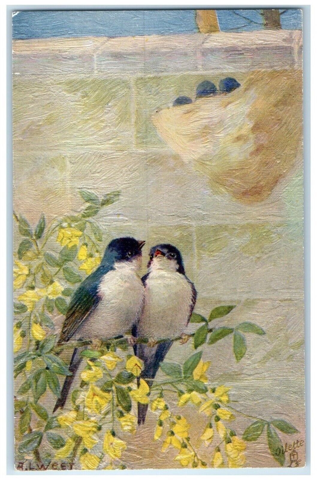c1910's Song Birds Flowers Oilfacsim Oilette Tuck's Embossed Antique Postcard