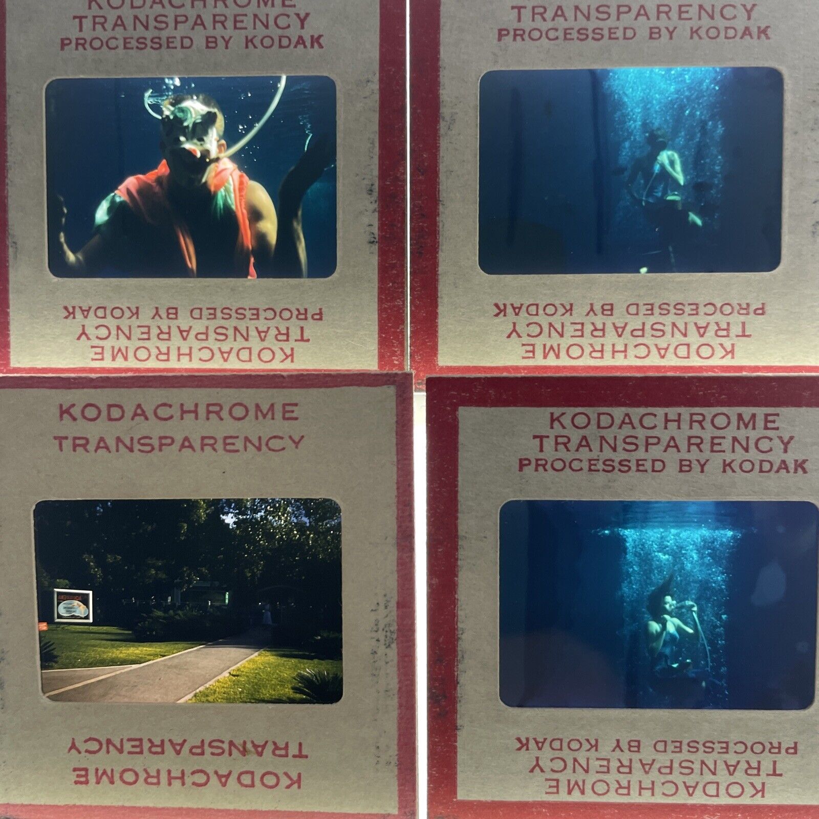 35mm Slide Photographs Aquarena San Marcos Texas Underwater Clown 1950s