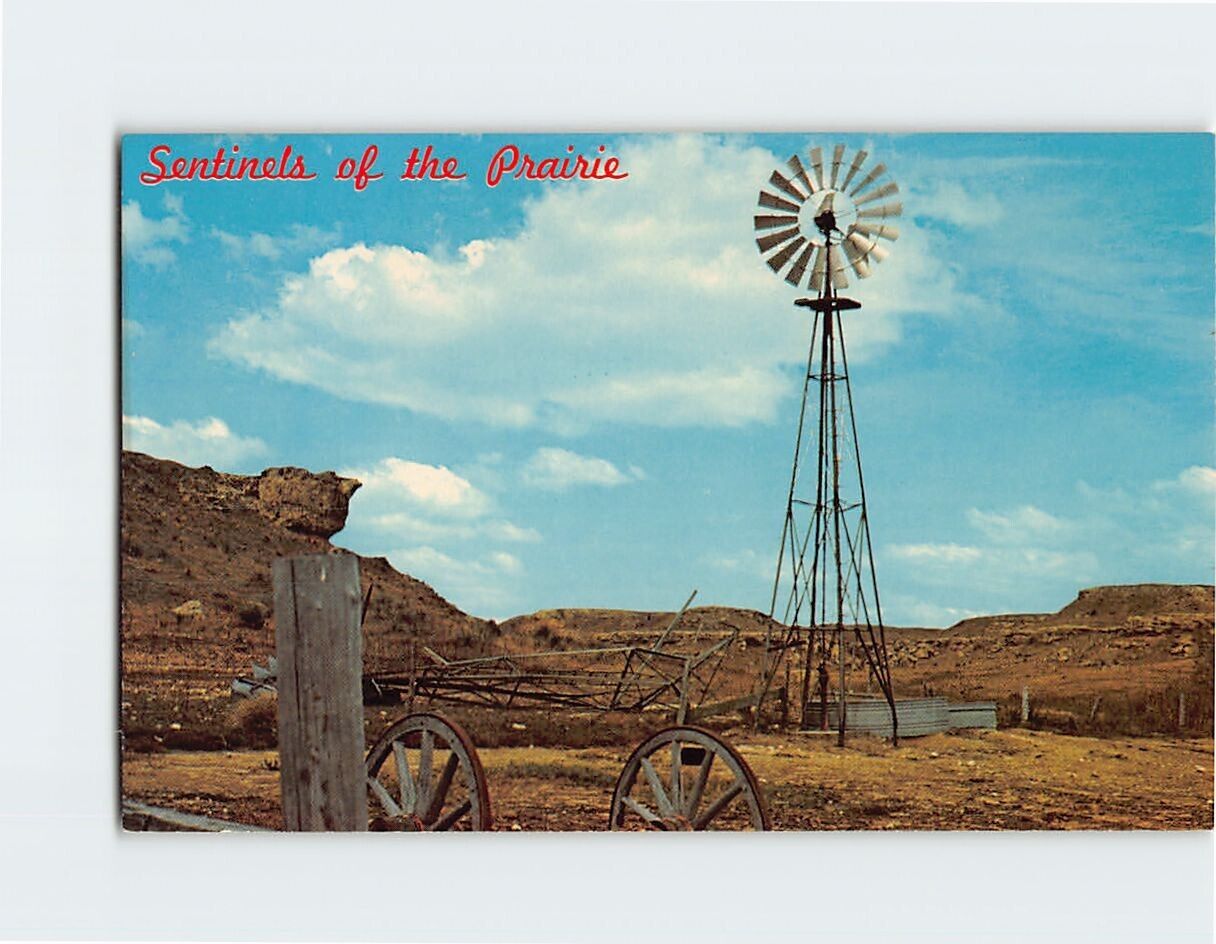 Postcard Sentinels of the Prairie Jackson Nebraska USA