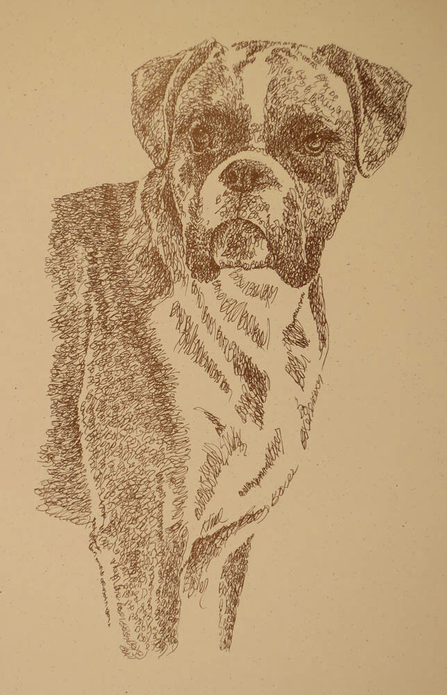 BOXER DOG ART Signed Print #37 Stephen Kline adds your dogs name free MAGIC GIFT