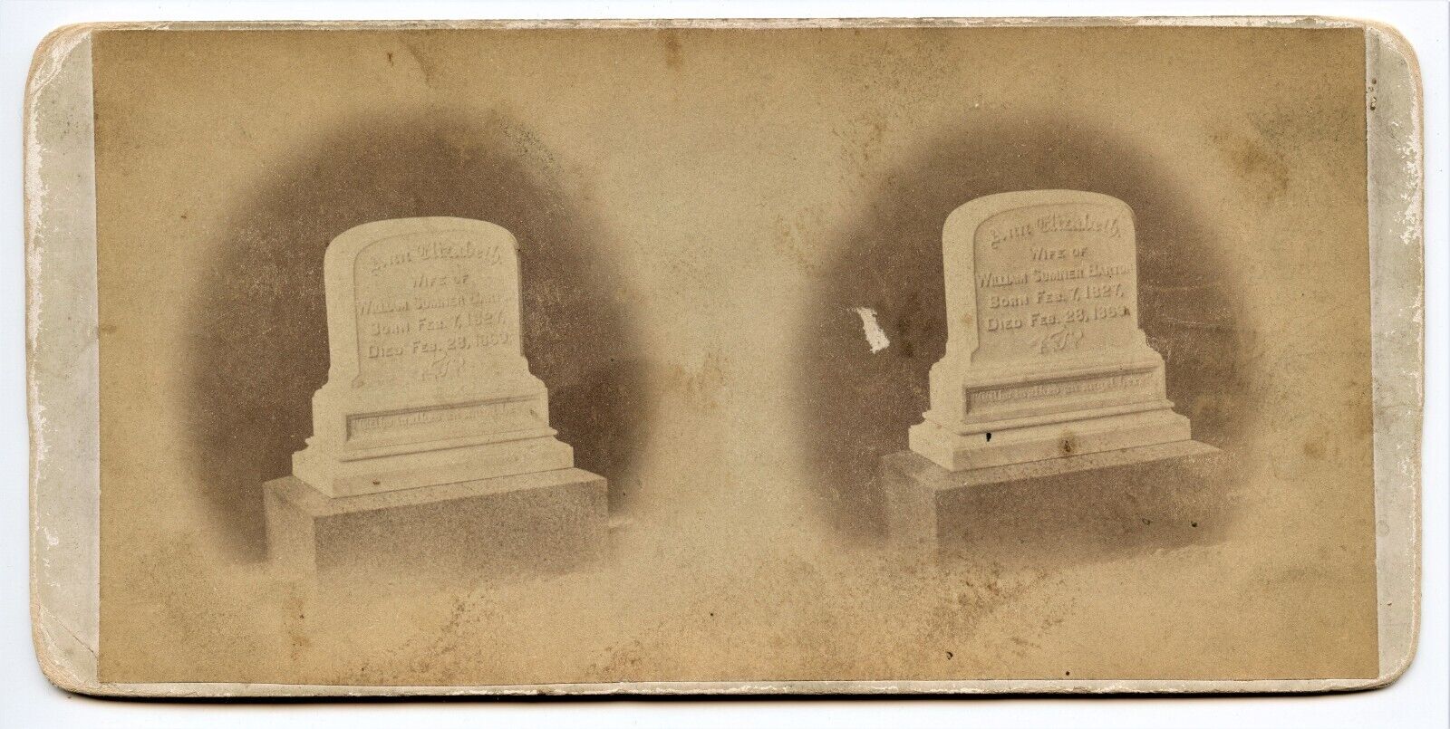 William Barton's Wife Ann E Barton Grave, Worcester MA Cemetery Stereoview Photo
