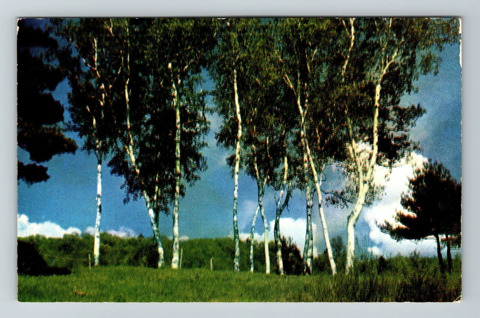 Walloon Lake MI-Michigan, Scenic Greetings  Vintage Souvenir Postcard