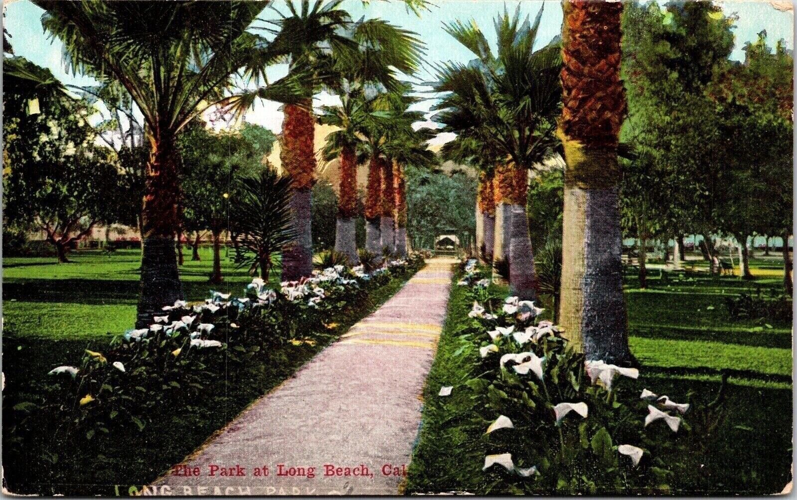 Park Long Beach California CA Road Thousand Wonders Antique Postcard UNP DB