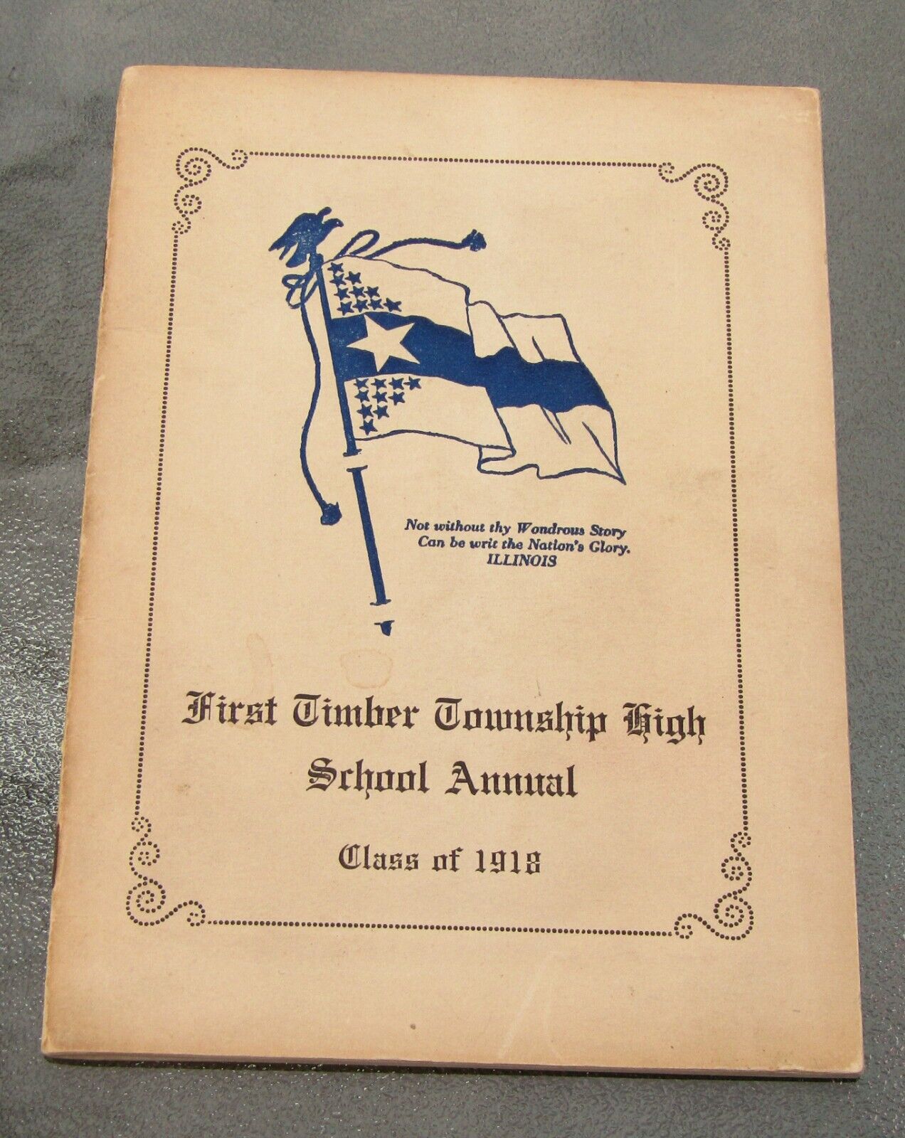 1918 First Timber Township High School Yearbook Peoria County Illinois Politics