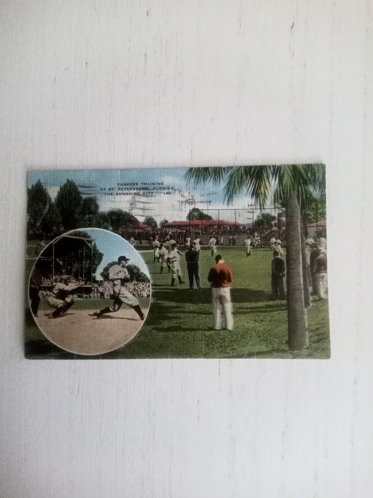 Vintage Yankees Training At St Petersburg Florida The Sunshine City Postcard