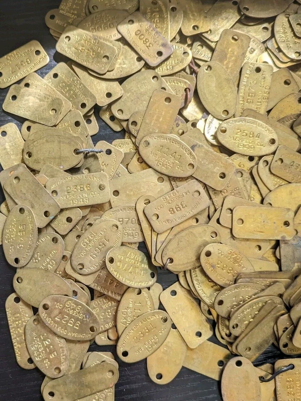 1948 To 51 Muskegon COUNTY MICHIGAN DOG LICENSE TAG Lot Of 200 Brass Tags Metal 