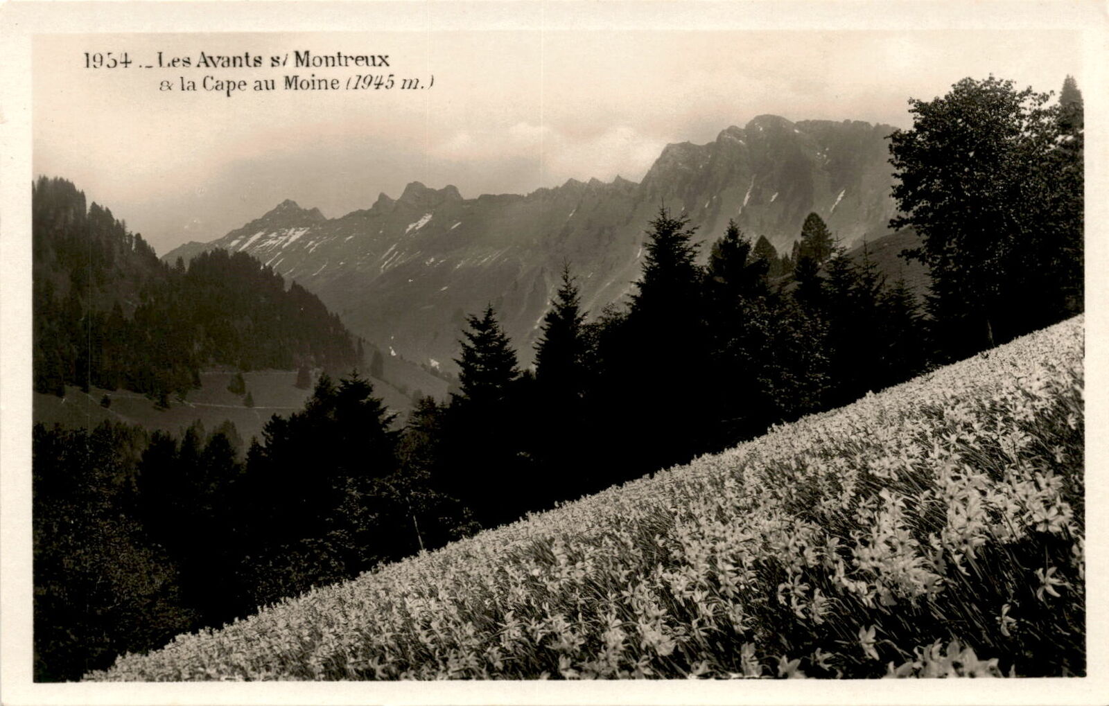 Les Avants sur Montreux, Cape au Moine, Swiss Alps, E. Meyer, Postcard