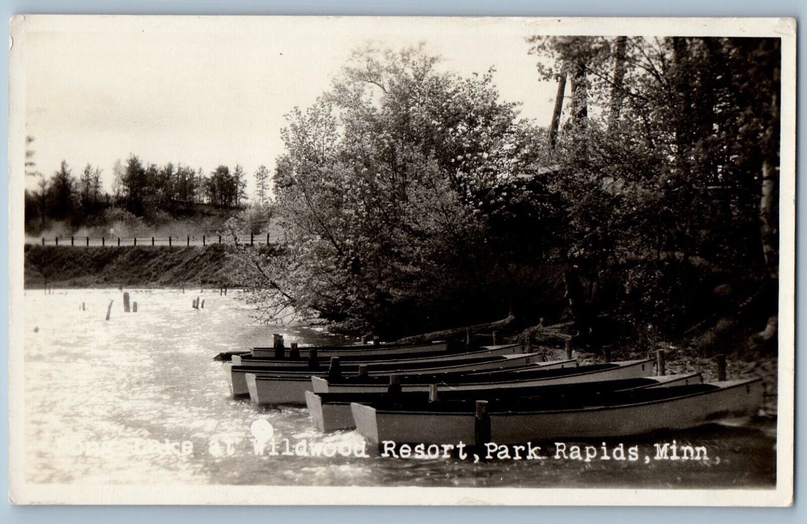Park Rapids Minnesota MN Postcard RPPC Photo Lake At Wildwood Resort Boats