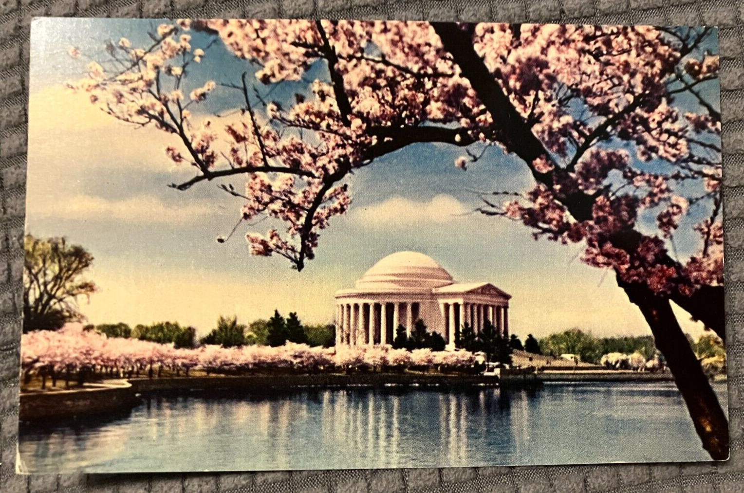 Vintage Postcard - Cherry Blossoms near Jefferson Memorial in Washington D.C.