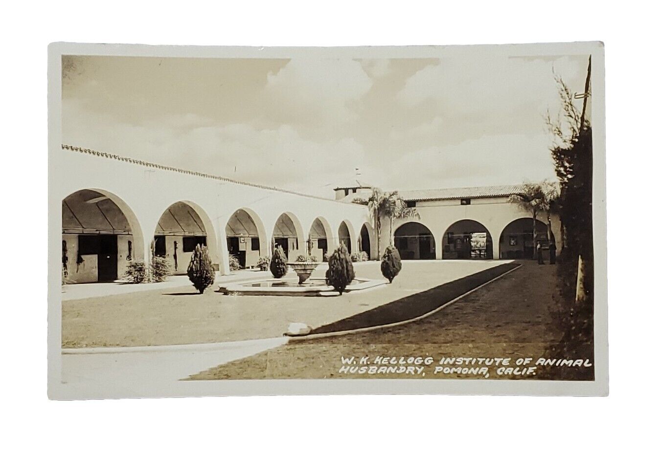 1939-1950 EKC RPPC: W.K. Kellogg Institute, Pomona, CA - Real Photo Postcard