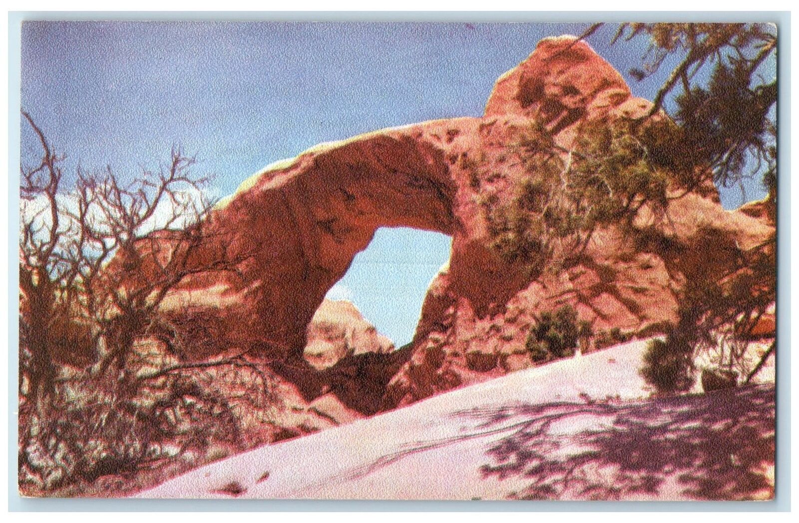 1957 South Windows Arches National Museum Grand Canyon Arizona AZ Trees Postcard
