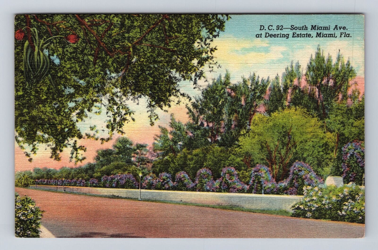 Miami FL-Florida, South Miami Ave at Deering Estate, Antique Vintage Postcard