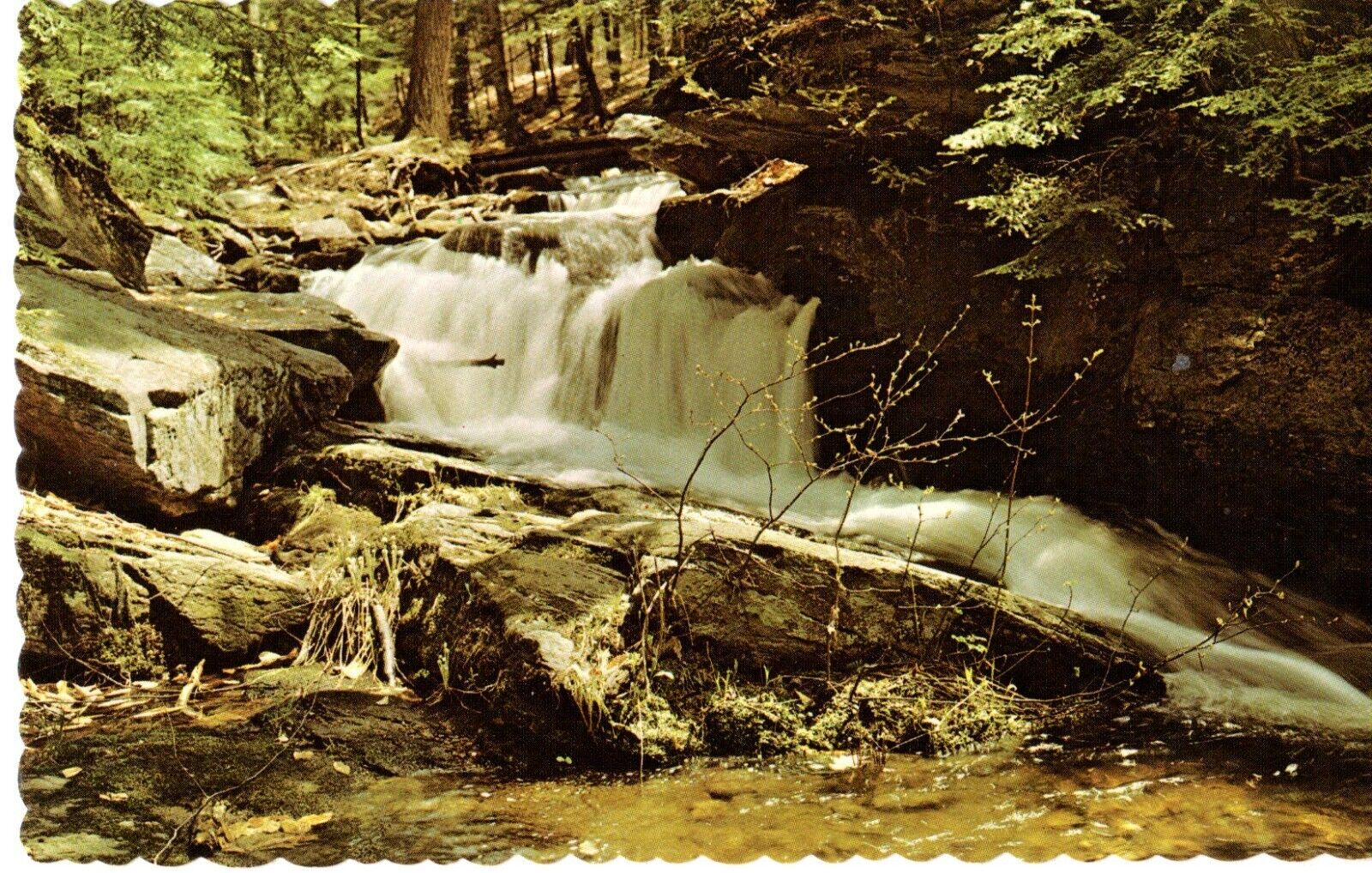 Chesterfield Gorge, Beautiful Falls, Chesterfield, NH Postcard