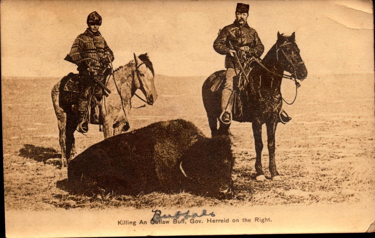 RPPC Postcard-Killing an outlaw Bull.Buff Gov. Herreid w/Rifle on the right BK55