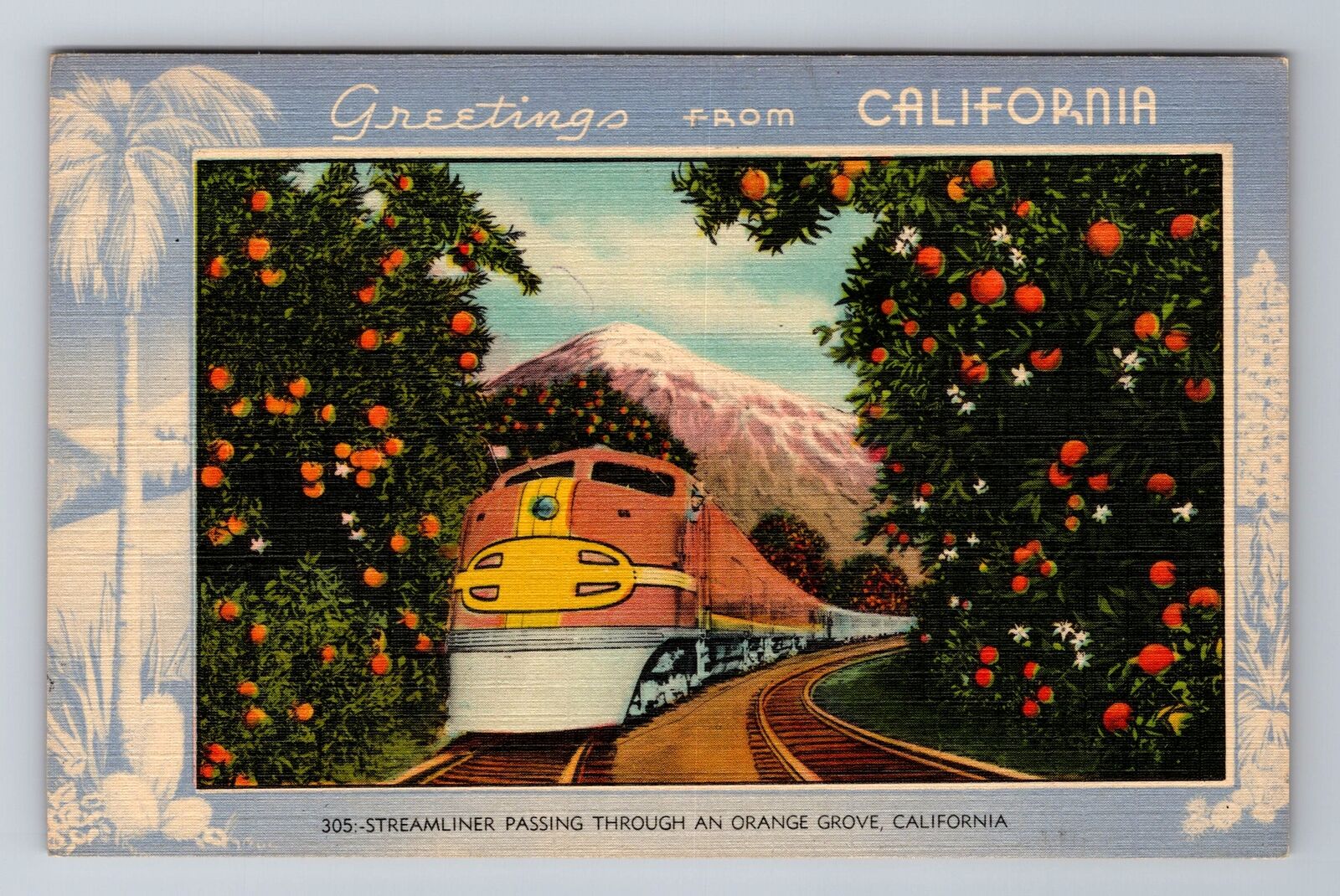 CA-California, Greetings, Streamliner Passing An Orange Grove, Vintage Postcard