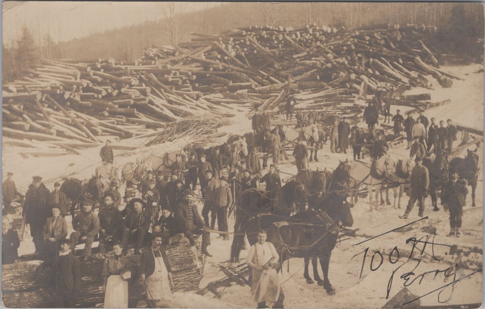 Lumberyard Gathering Haines Falls New York 1907 PM RPPC Photo Postcard