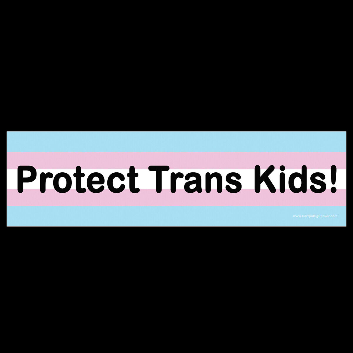 Protect Trans Kids BUMPER STICKER or MAGNET magnetic transgender children youth