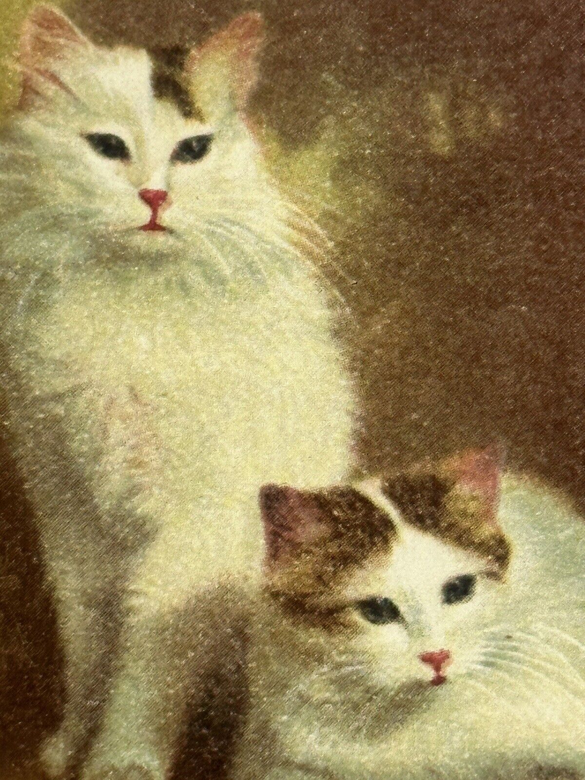 Cat Postcard Two Calicos Art Portrait Pose udb