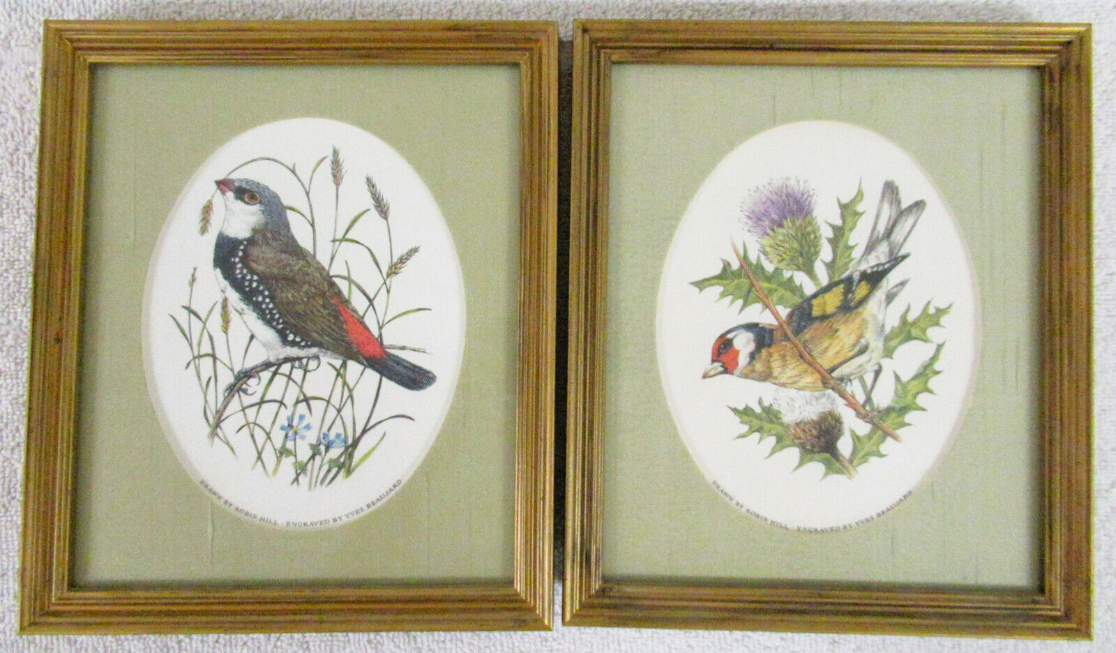 1980 Franklin Gallery SONGBIRDS OF THE WORLD Engravings : Pair of Two