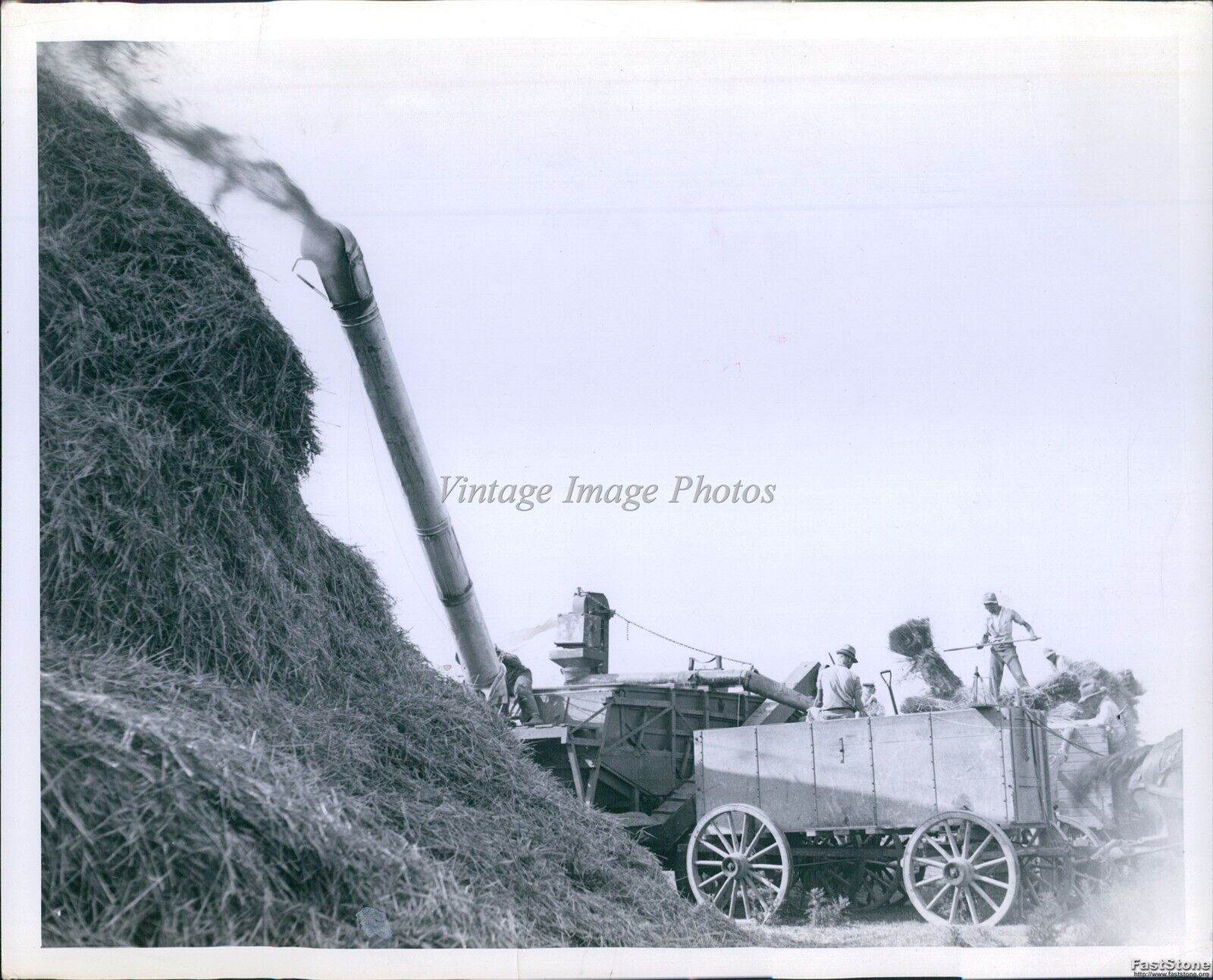 1937 Hay Bundles Emerge From Thresher To Build Tall Stack Agriculture Photo 8X10