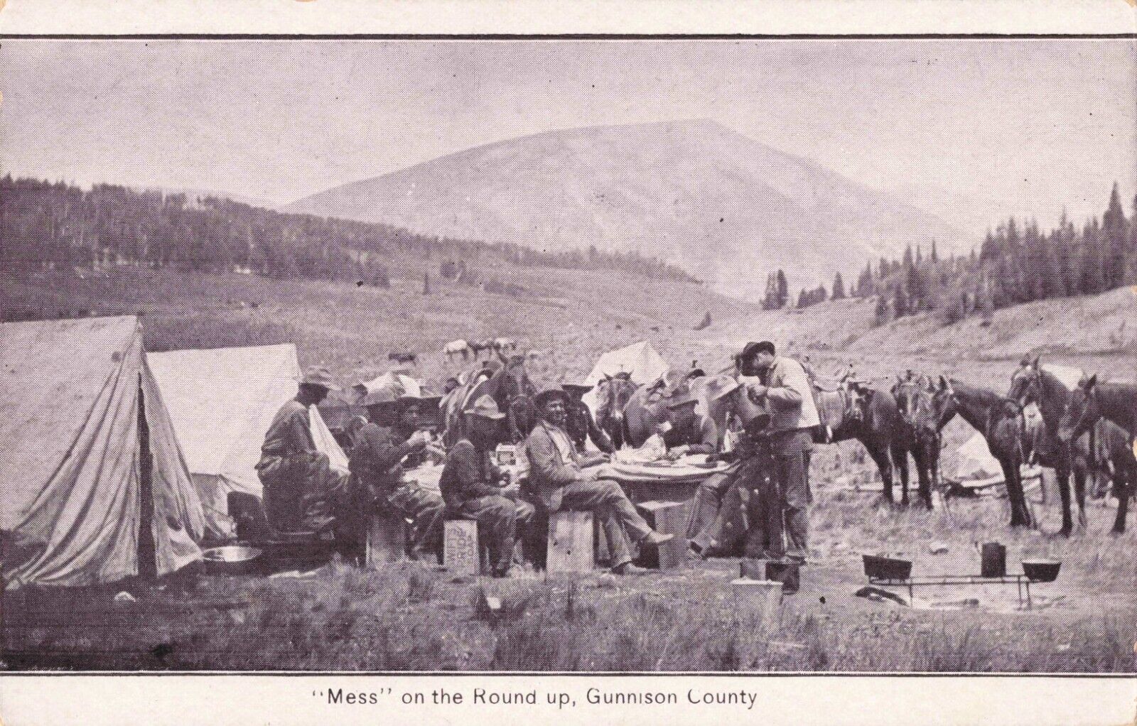 Mess on the Round Up Gunnison County Colorado Cowboys c1910 Postcard
