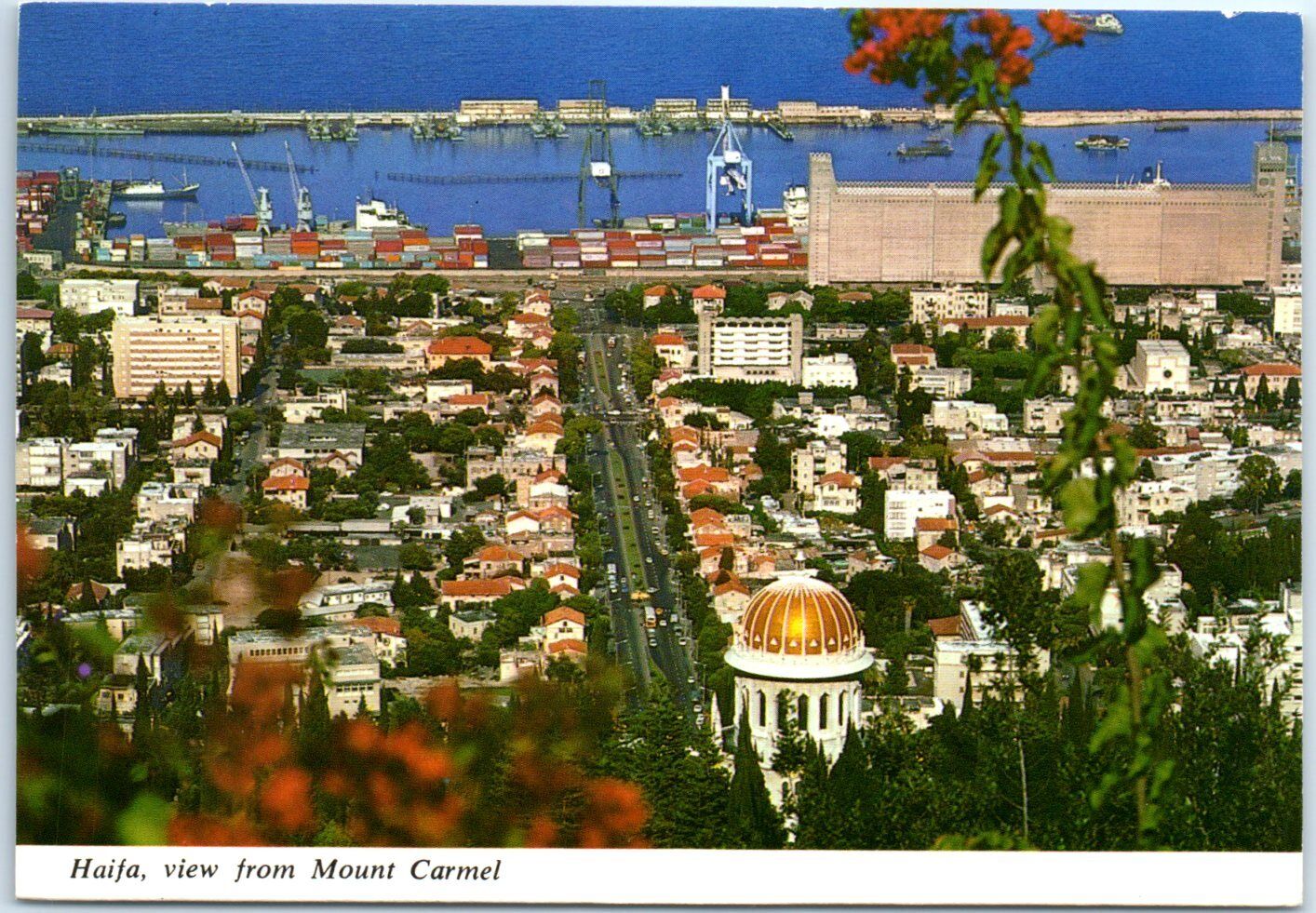 Postcard - Haifa, View from Mount Carmel, Israel