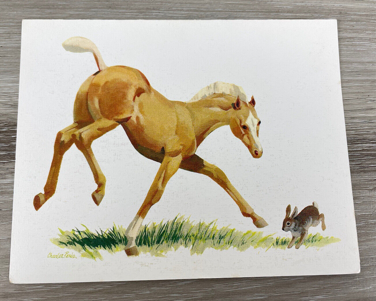 Vintage Horse and Bunny Charles Paris Art Blank Greeting Note Card and Env