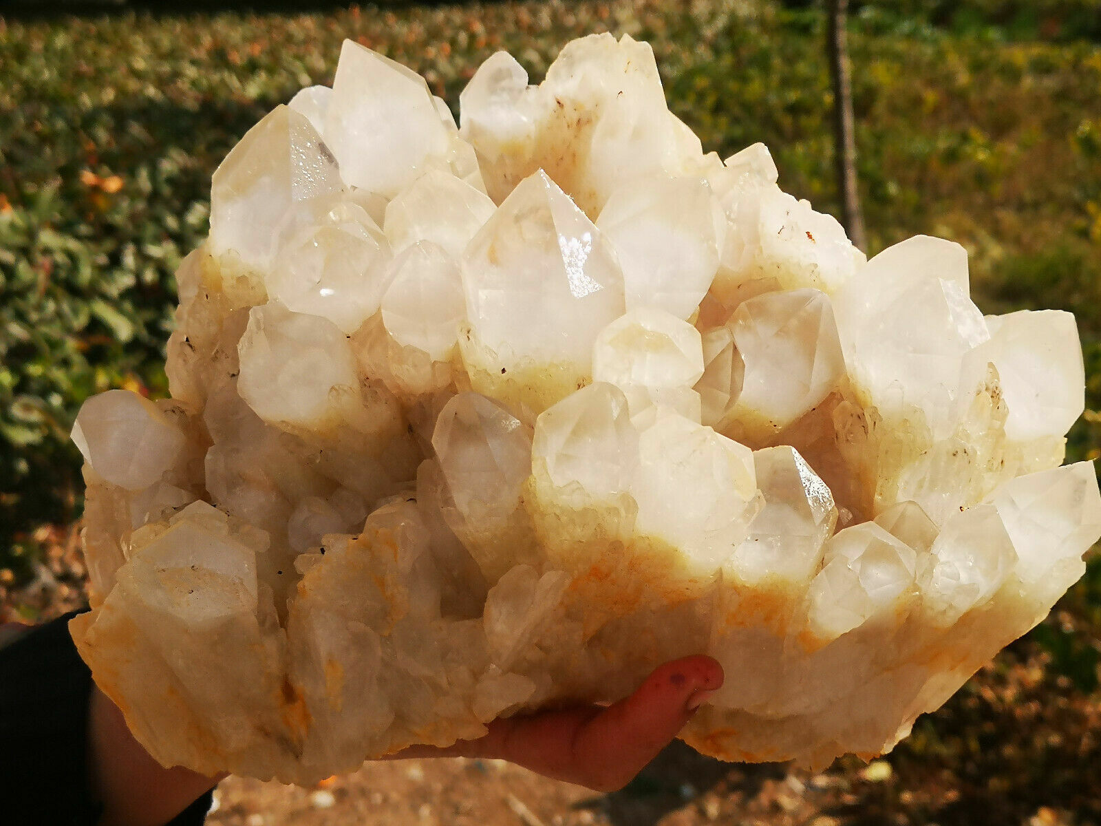 7.2LB Natural White Quartz Crystal Cluster Mineral Specimen