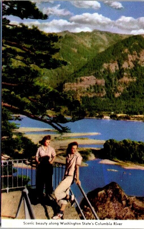 Postcard Scenic Beautiful Views at the Columbia River Gorge Washington WA  2061