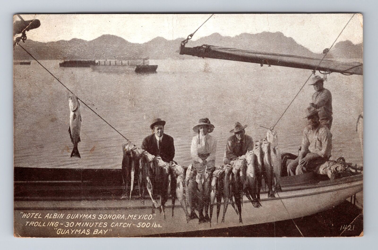 Sonora, Mexico, Hotel Albin Guaymas Bay Fish Catch, Vintage Postcard